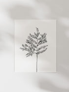 Hemlock Stem