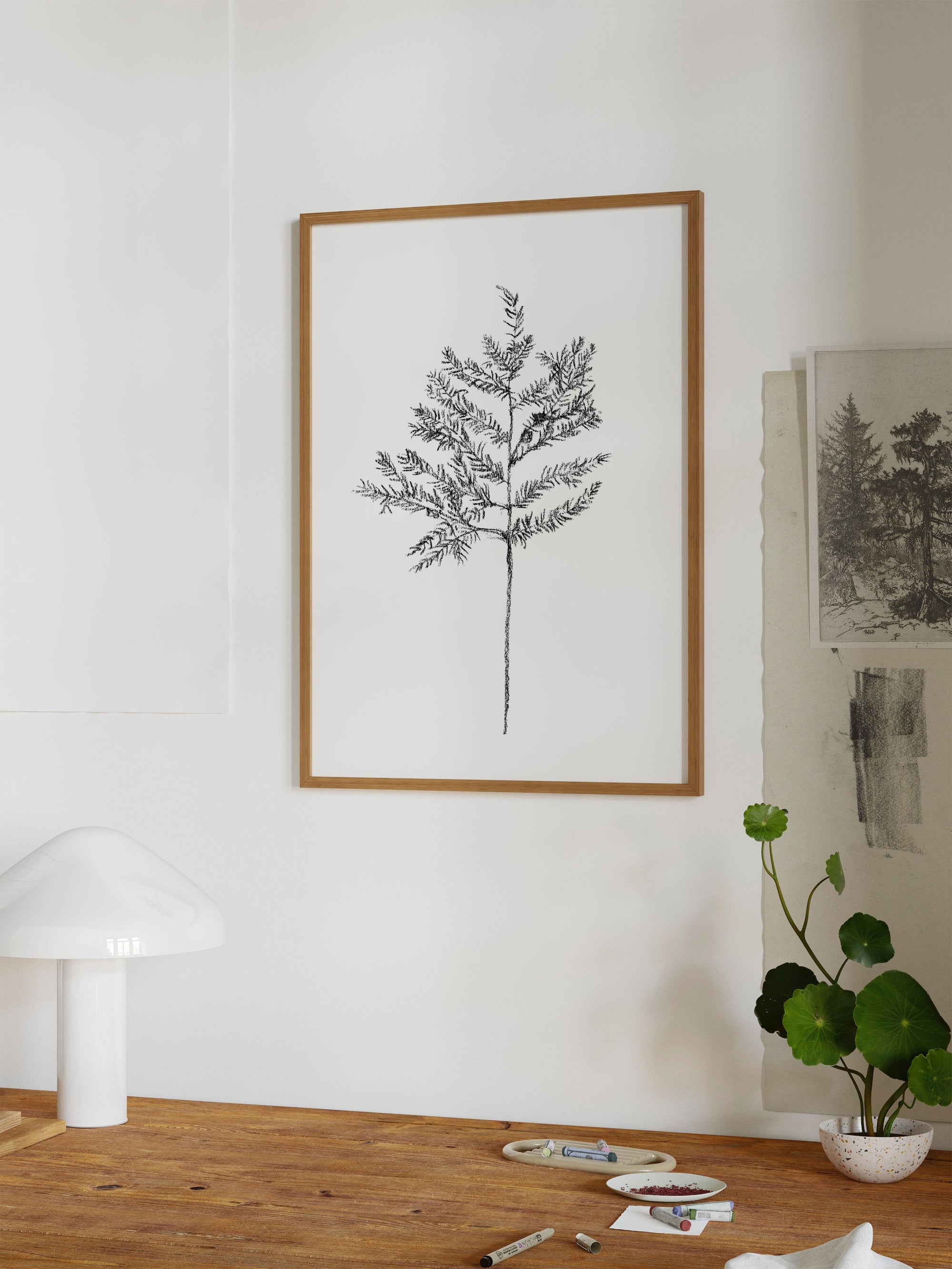 Hemlock Stem