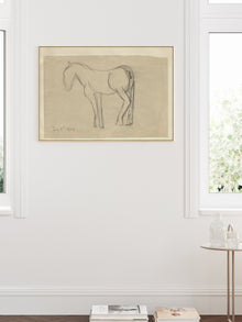 Horse Sketch