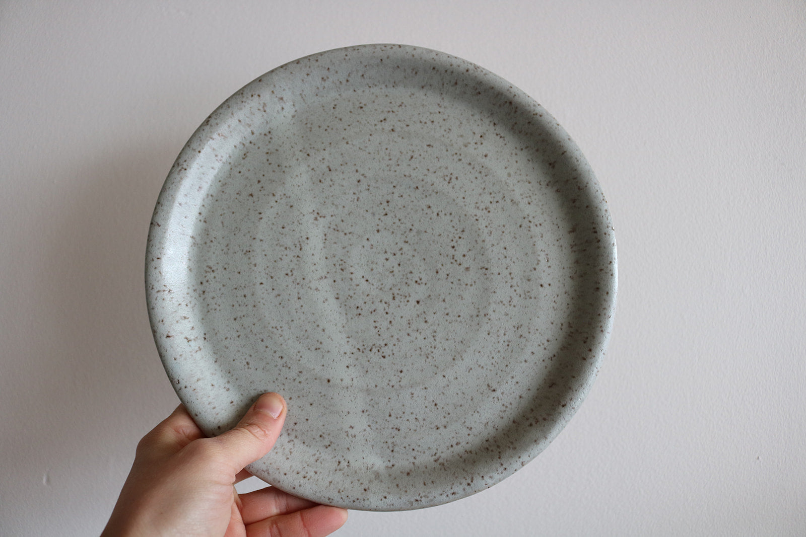 Dinner Plate