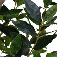 Tall artificial laurel tree in decorative planter