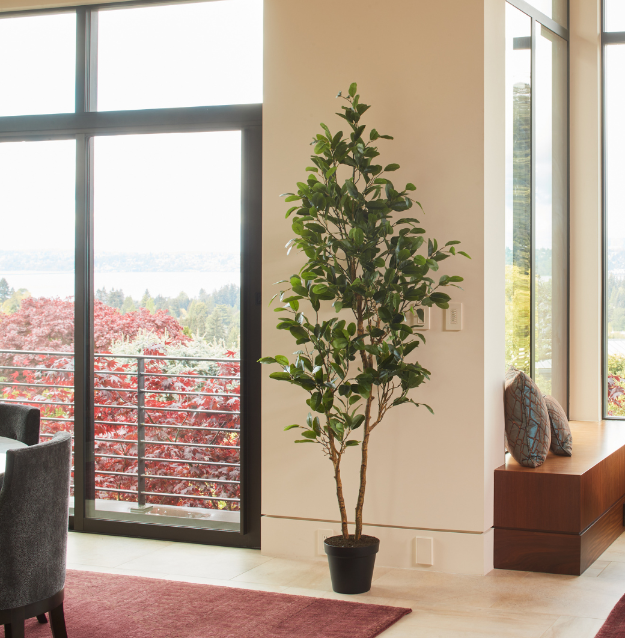 Tall Artificial lemon tree styled in entryway