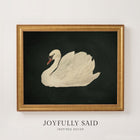 Swan Study