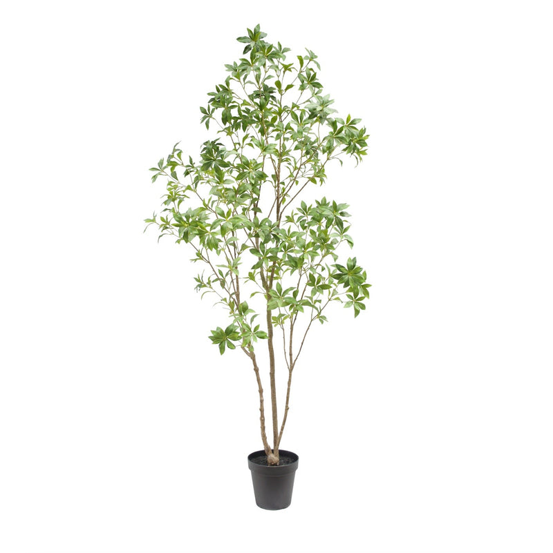 Tall Artificial laurel tree in grower pot for indoor decor