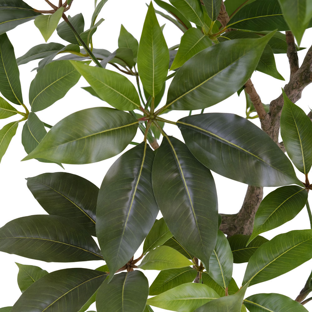 artificial money tree plant Faux Potted Money Tree, 7 ft