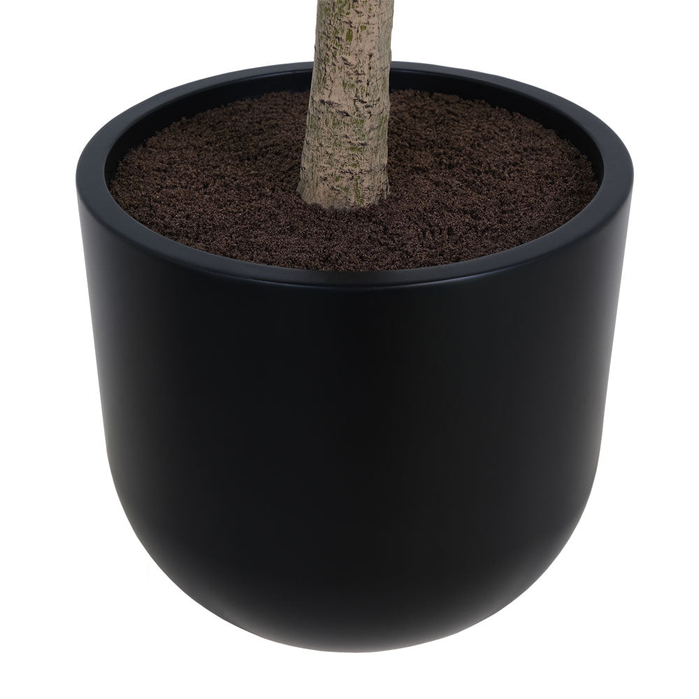 money tree affirmation 7' Artificial Potted Money Tree