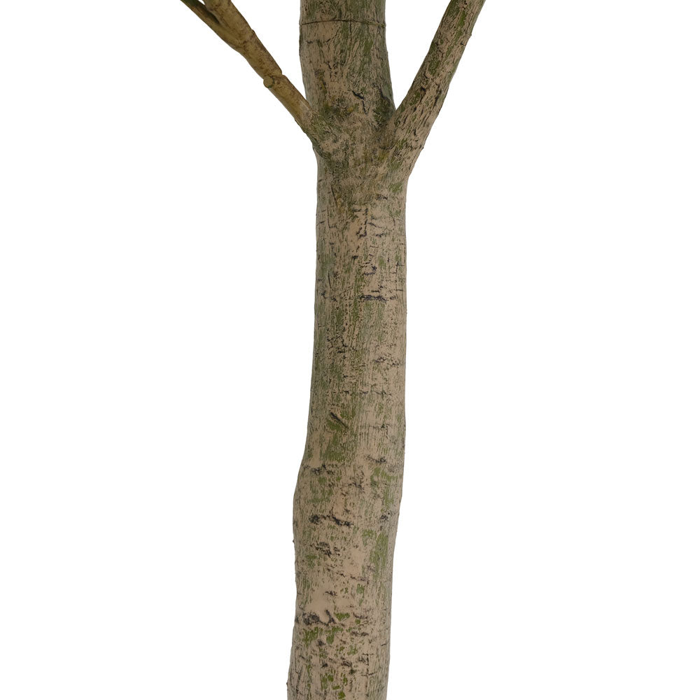 money tree affirmation 7' Artificial Potted Money Tree
