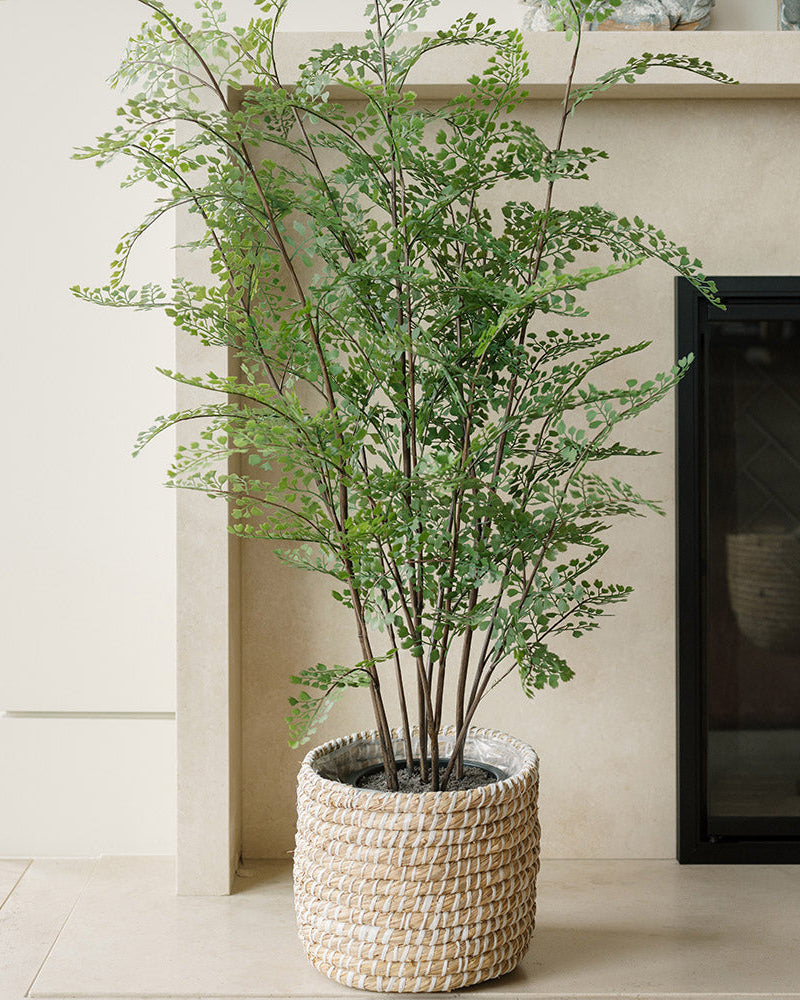 Lifelike maidenhair fern for home decor