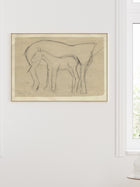 Mare and Foal