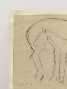 Mare and Foal