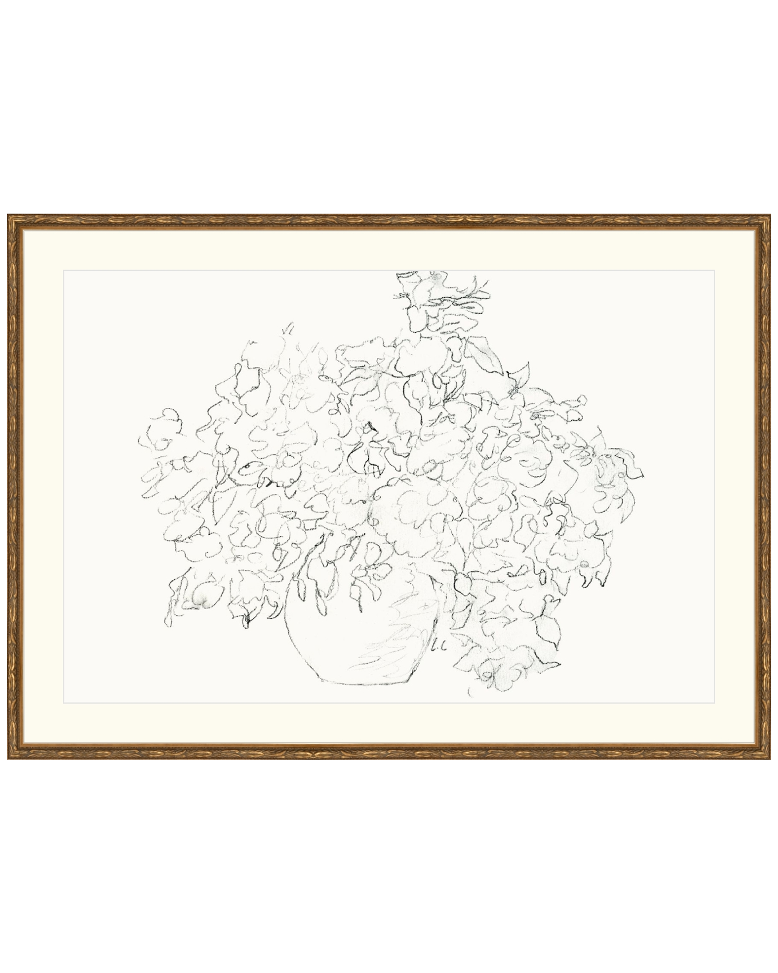 Vase of Flowers Sketch