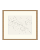 Lemon Branch Drawing