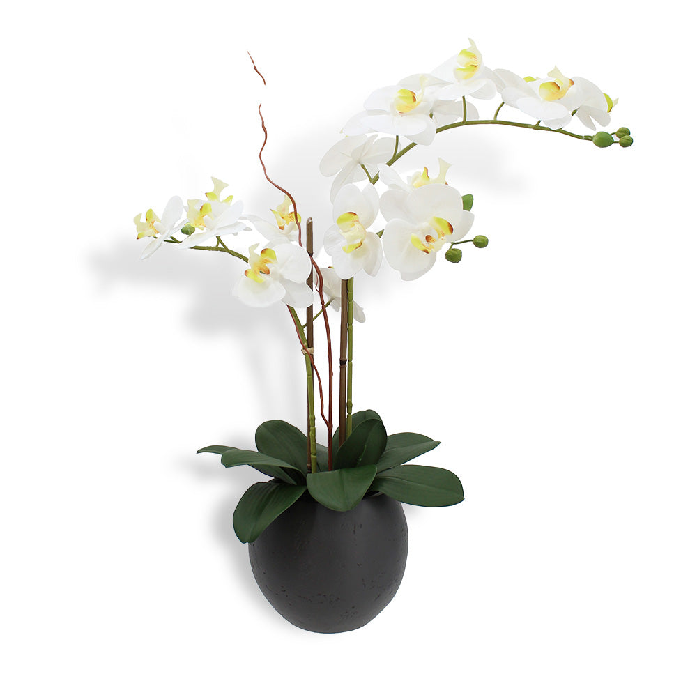 25 inch artificial white double stem orchid in grey pot