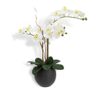 25 inch artificial white double stem orchid in grey pot