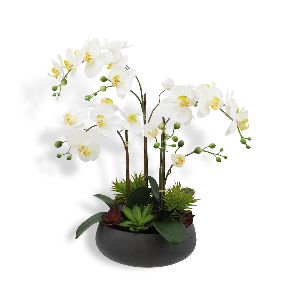 24" artificial orchid with succulents in grey round pot