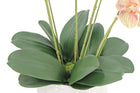 Artificial orchid stems styled in vase