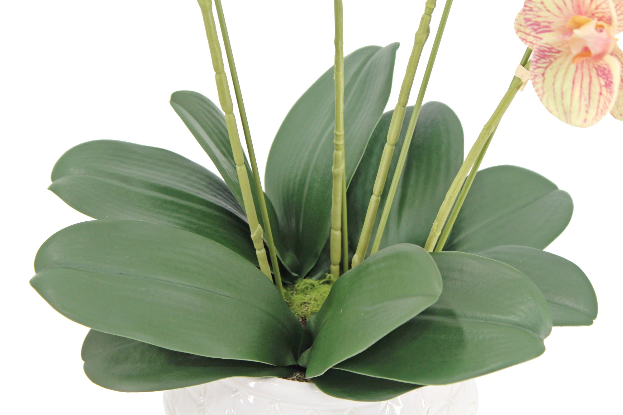 Artificial orchid stems styled in vase