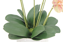 Artificial orchid stems styled in vase