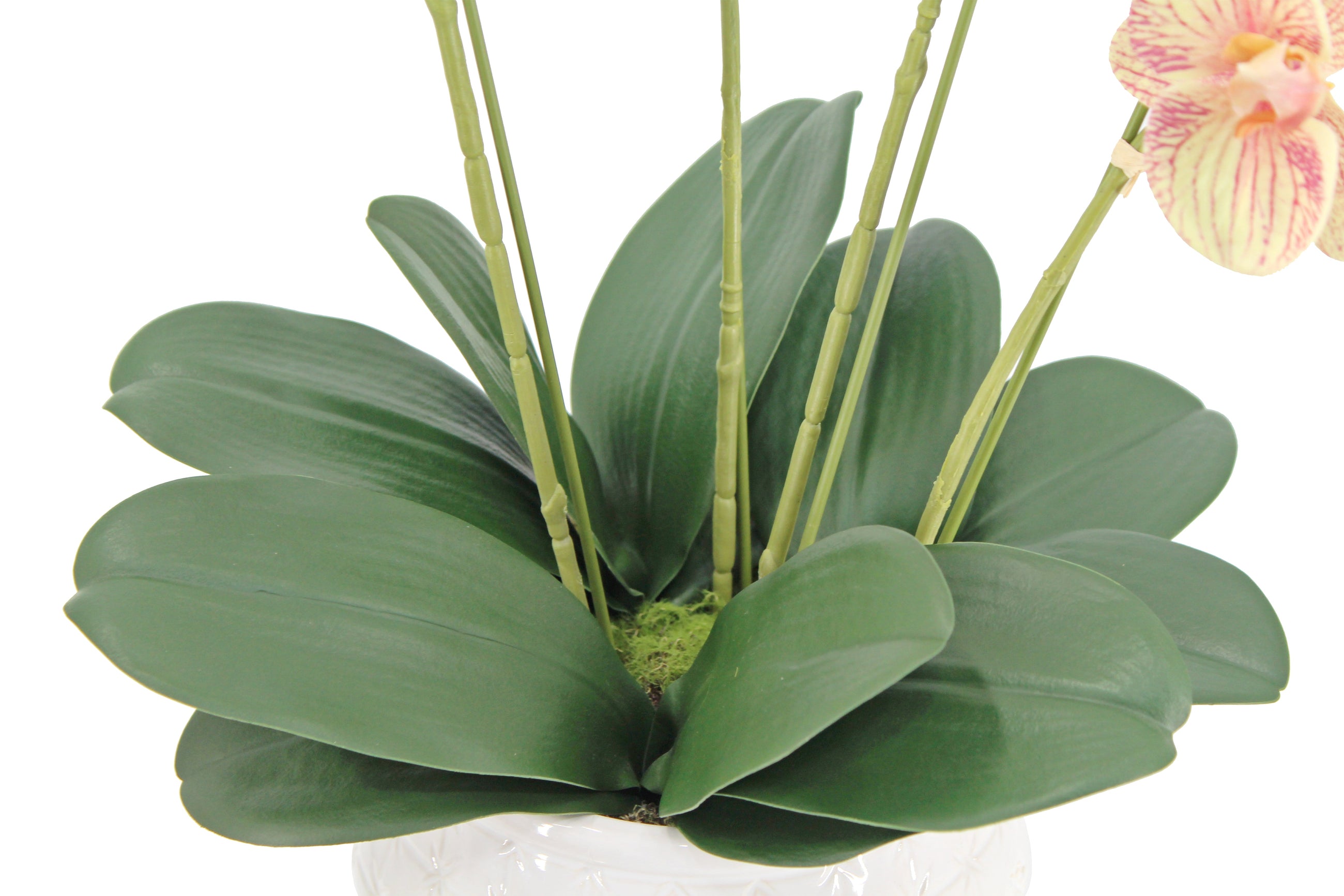 Artificial orchid stems styled in vase