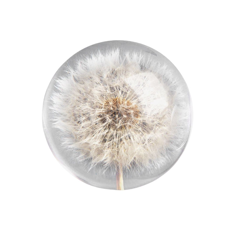 Dandelion Botanical Resin Paperweight