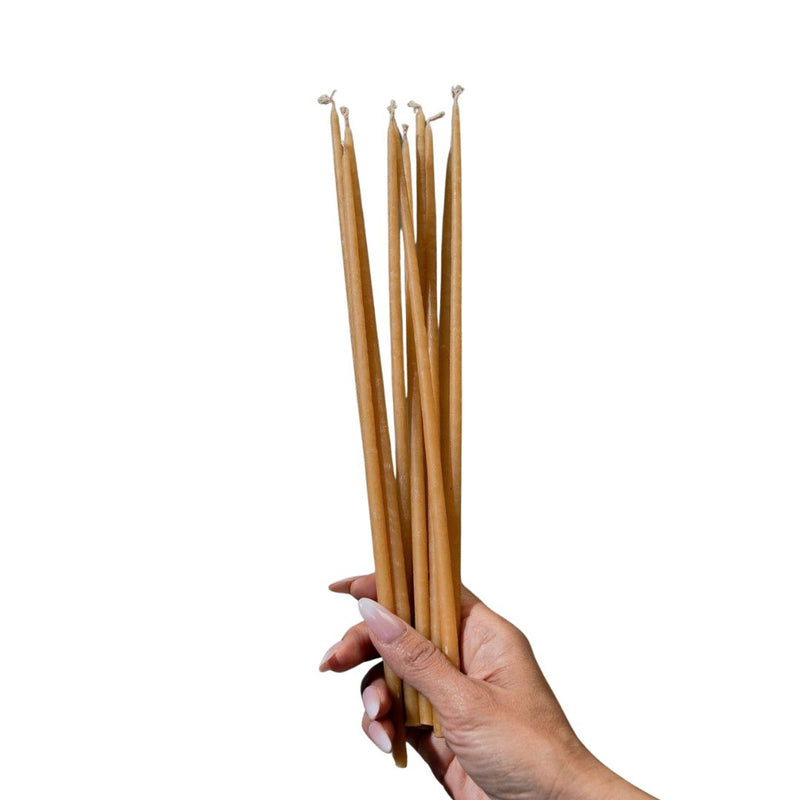 100% Natural Beeswax Taper Candles Set of 10 - 12 Inch Dripless