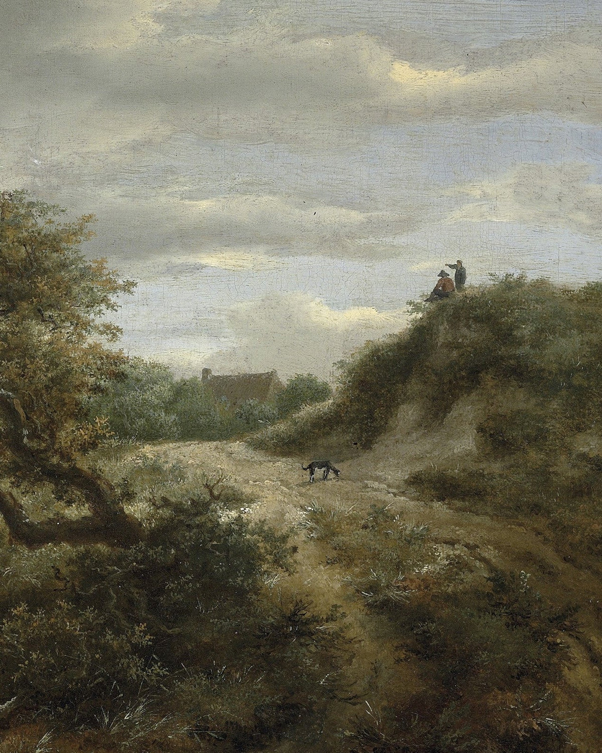 Path Through The Dunes