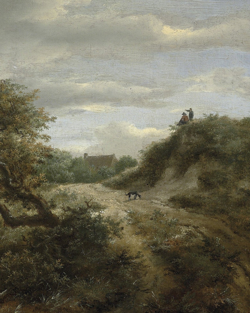 Path Through The Dunes