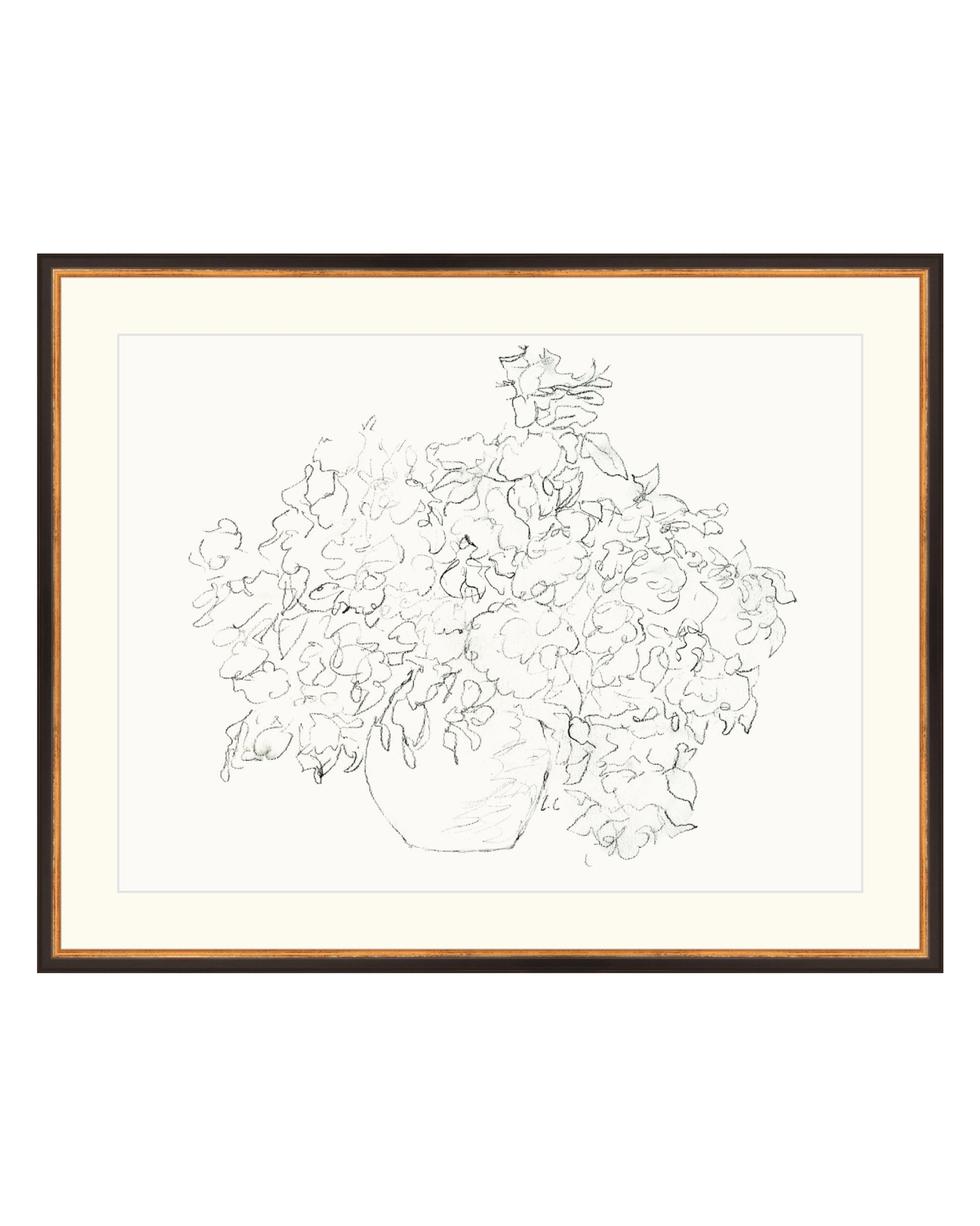 Vase of Flowers Sketch