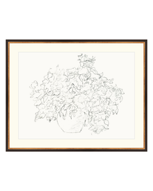 Vase of Flowers Sketch