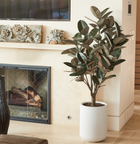 Artificial rubber ficus tree with lifelike leaves and hand-painted trunk