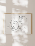 Rabbits