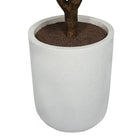 60" Rubber Ficus Tree in Modern Gray Planter