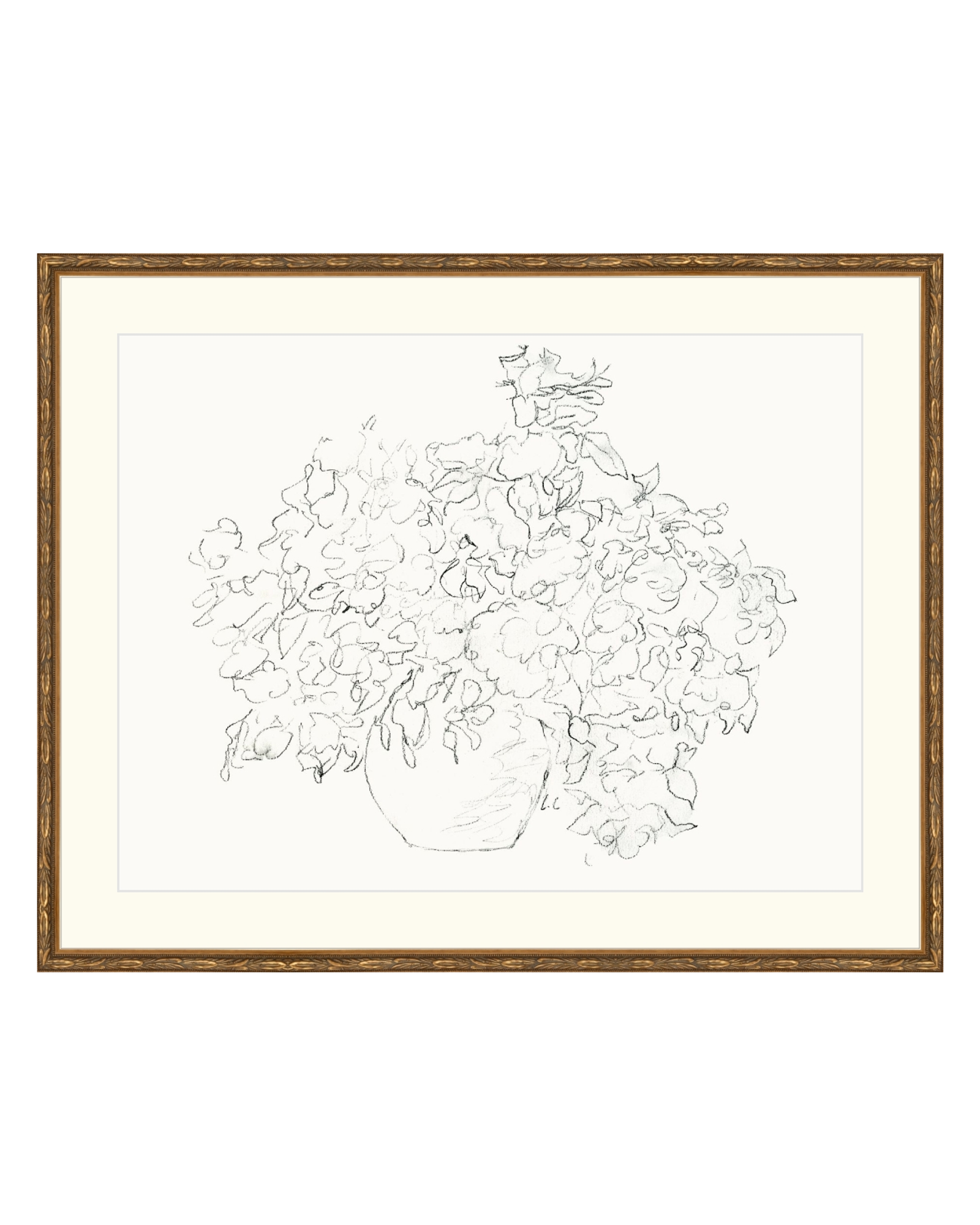 Vase of Flowers Sketch