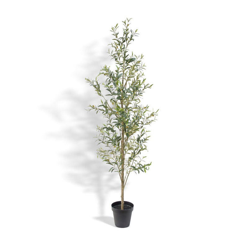 7 foot artificial slim olive tree with narrow trunk and realistic leaves
