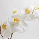 Artificial orchid centerpiece with two stems