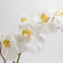 Artificial orchid centerpiece with two stems
