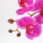 Artificial orchid centerpiece with realistic petals