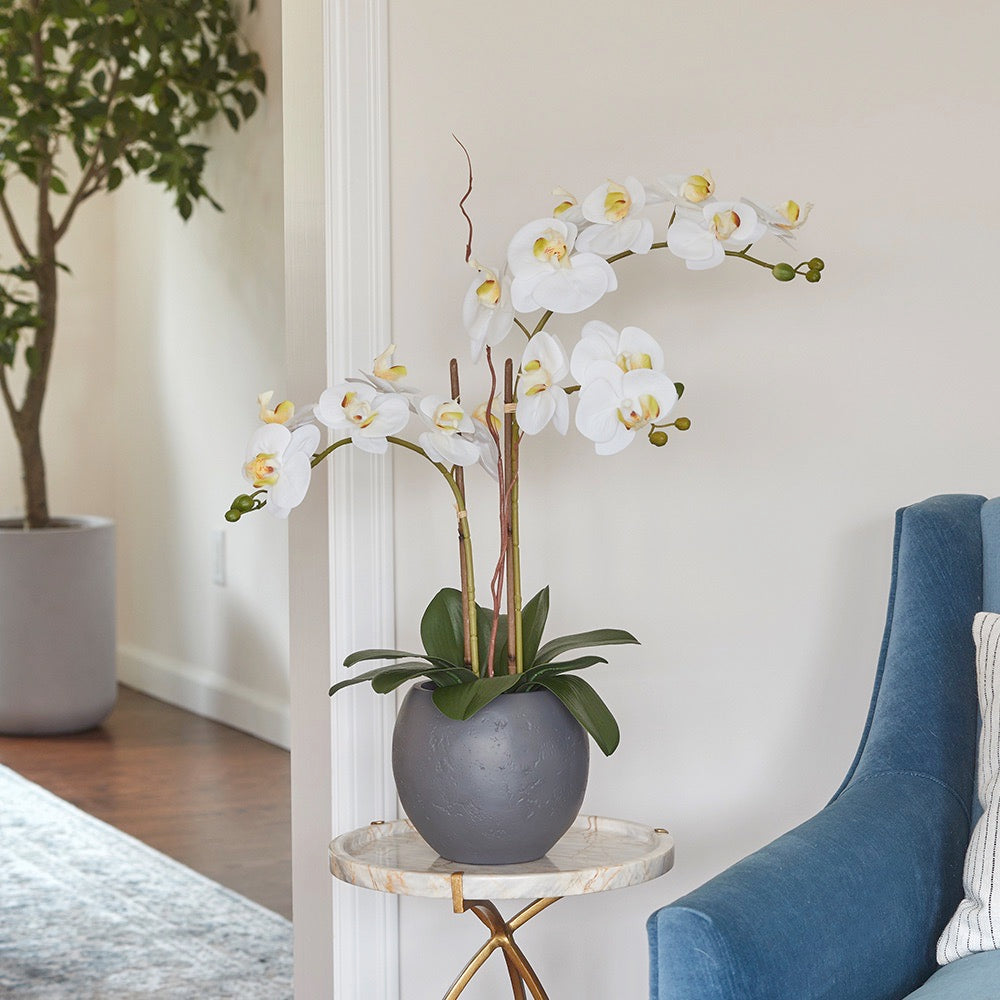 Artificial White Double Stem Orchid