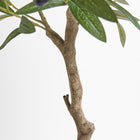 Mediterranean-style artificial olive tree styled in living room