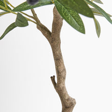 Mediterranean-style artificial olive tree styled in living room