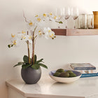 Lifelike Artificial orchid plant with white blossoms
