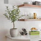 Artificial Olive Topiary Tree with Mediterranean Pot