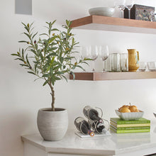 Artificial Olive Topiary Tree with Mediterranean Pot