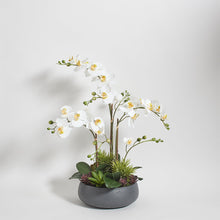 Artificial Orchid with Succulents