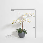 Artificial White Double Stem Orchid