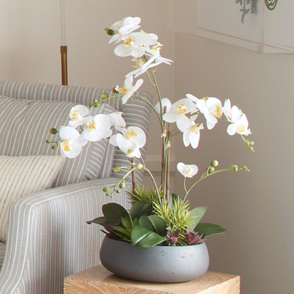 Artificial Orchid with Succulents