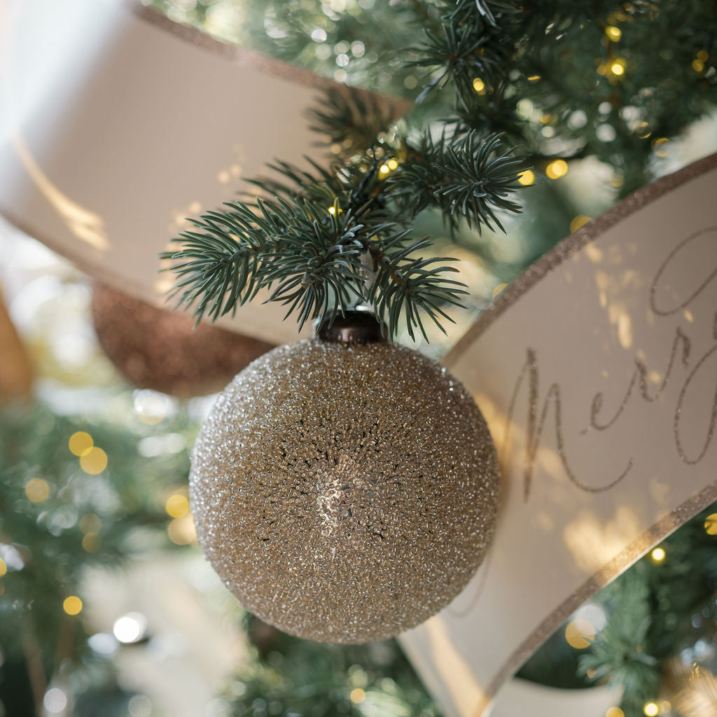 Steve Christmas Product square