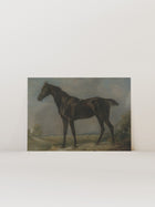 Study of a Horse II