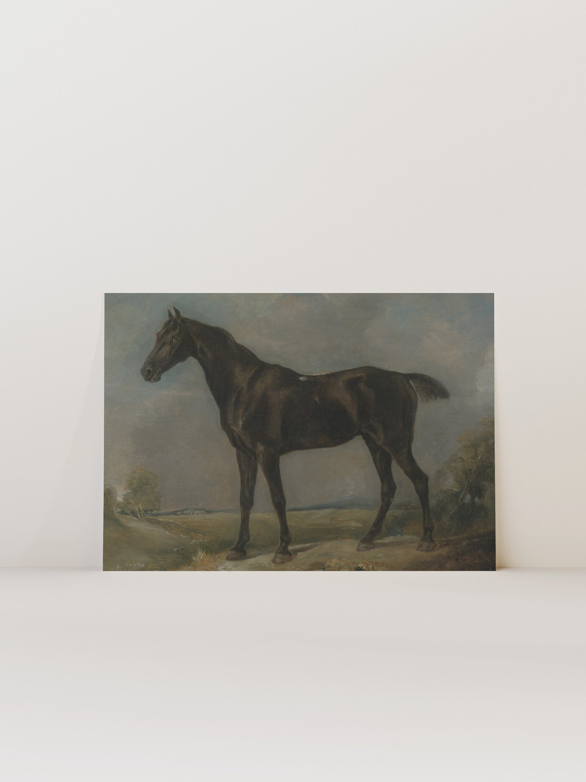 Study of a Horse II