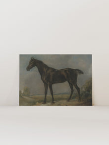 Study of a Horse II